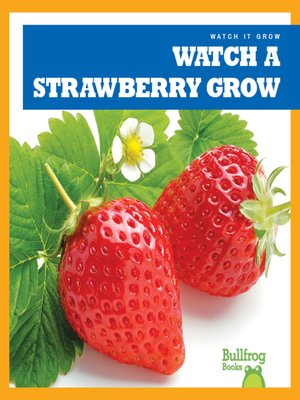 cover image of Watch a Strawberry Grow